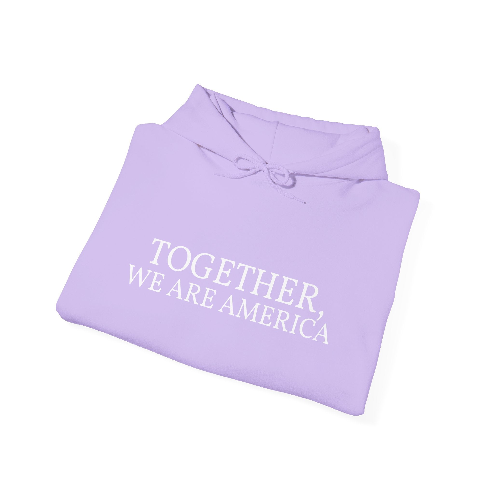 Together, We Are America Unisex Hoodie