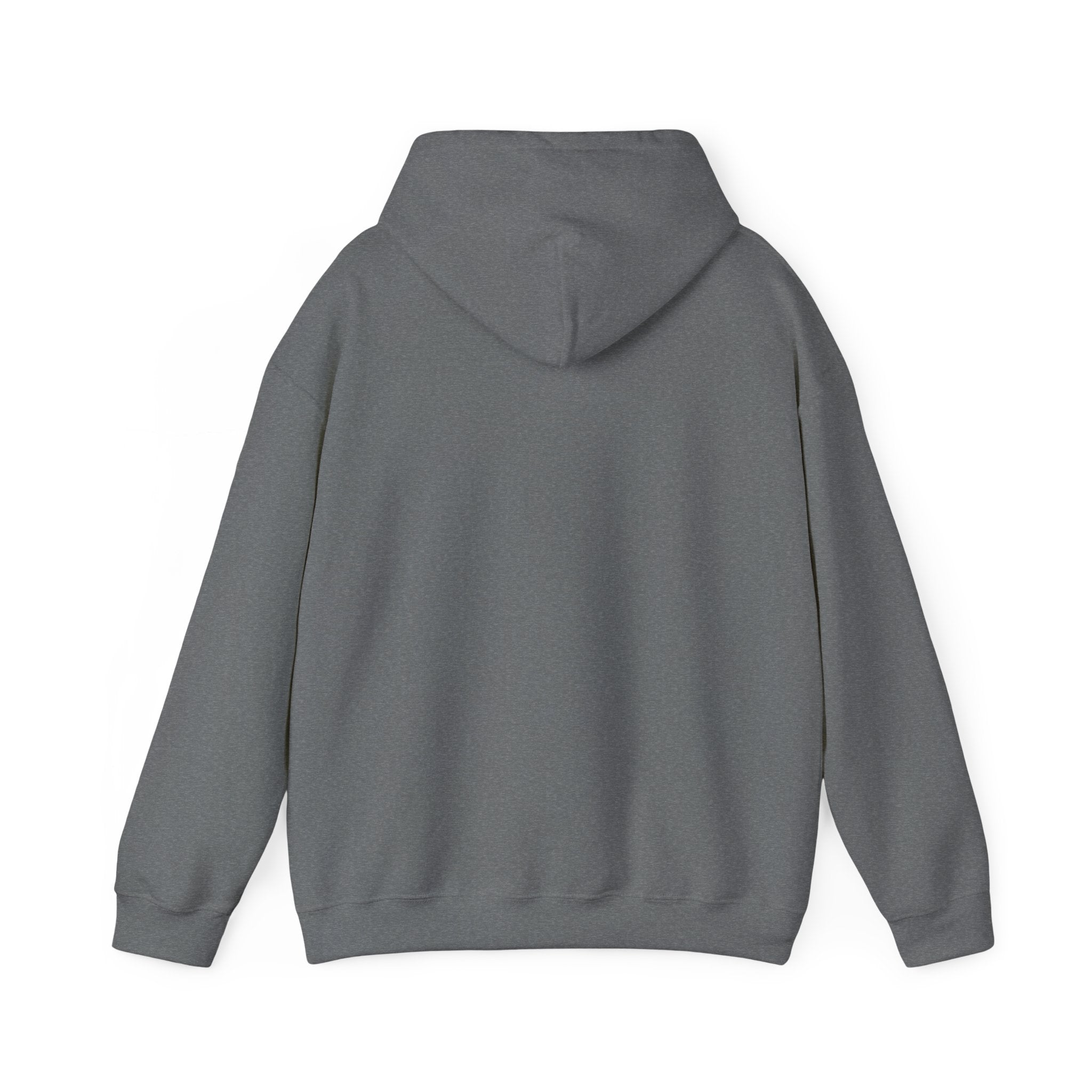 Together, We Are America Unisex Hoodie