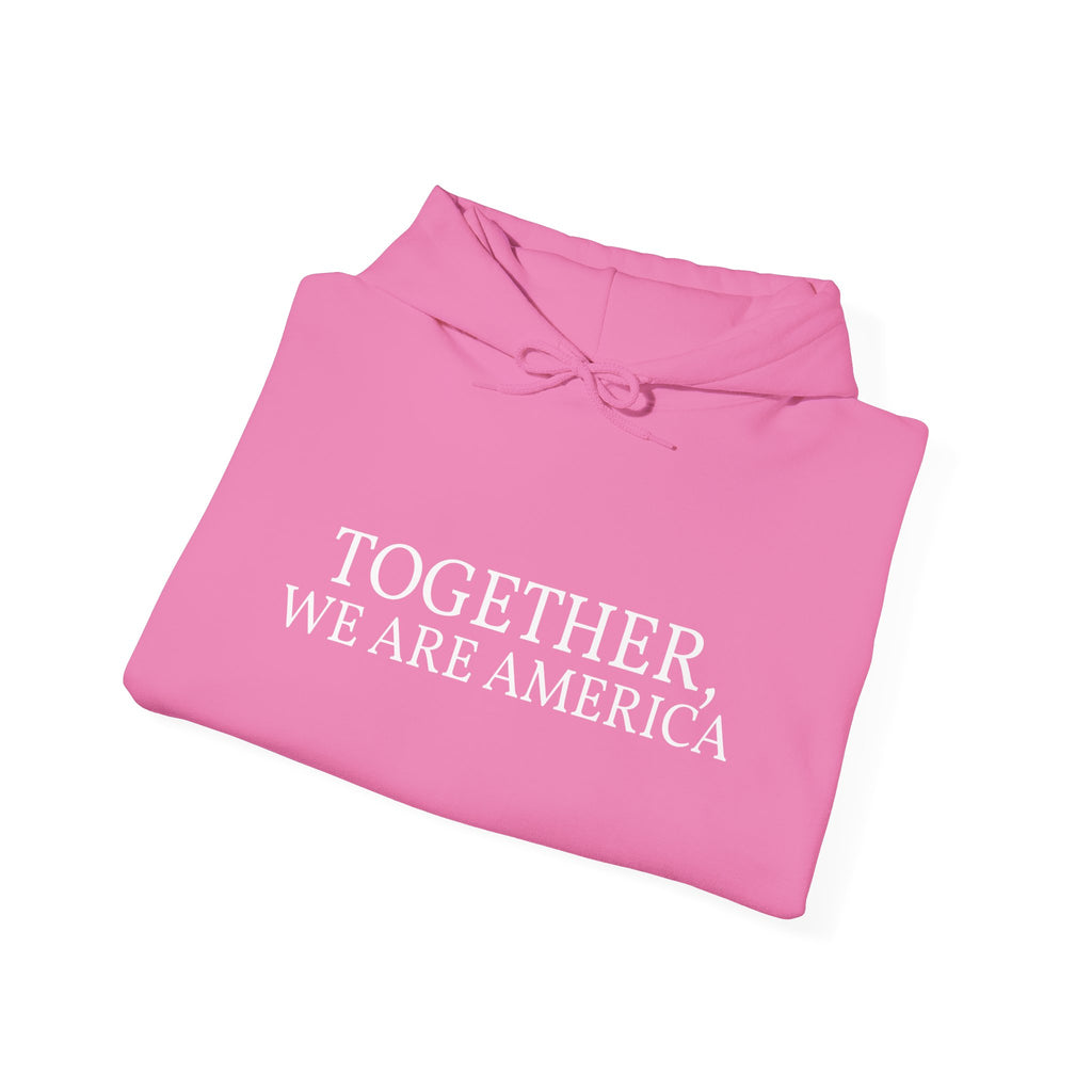 Together, We Are America Unisex Hoodie
