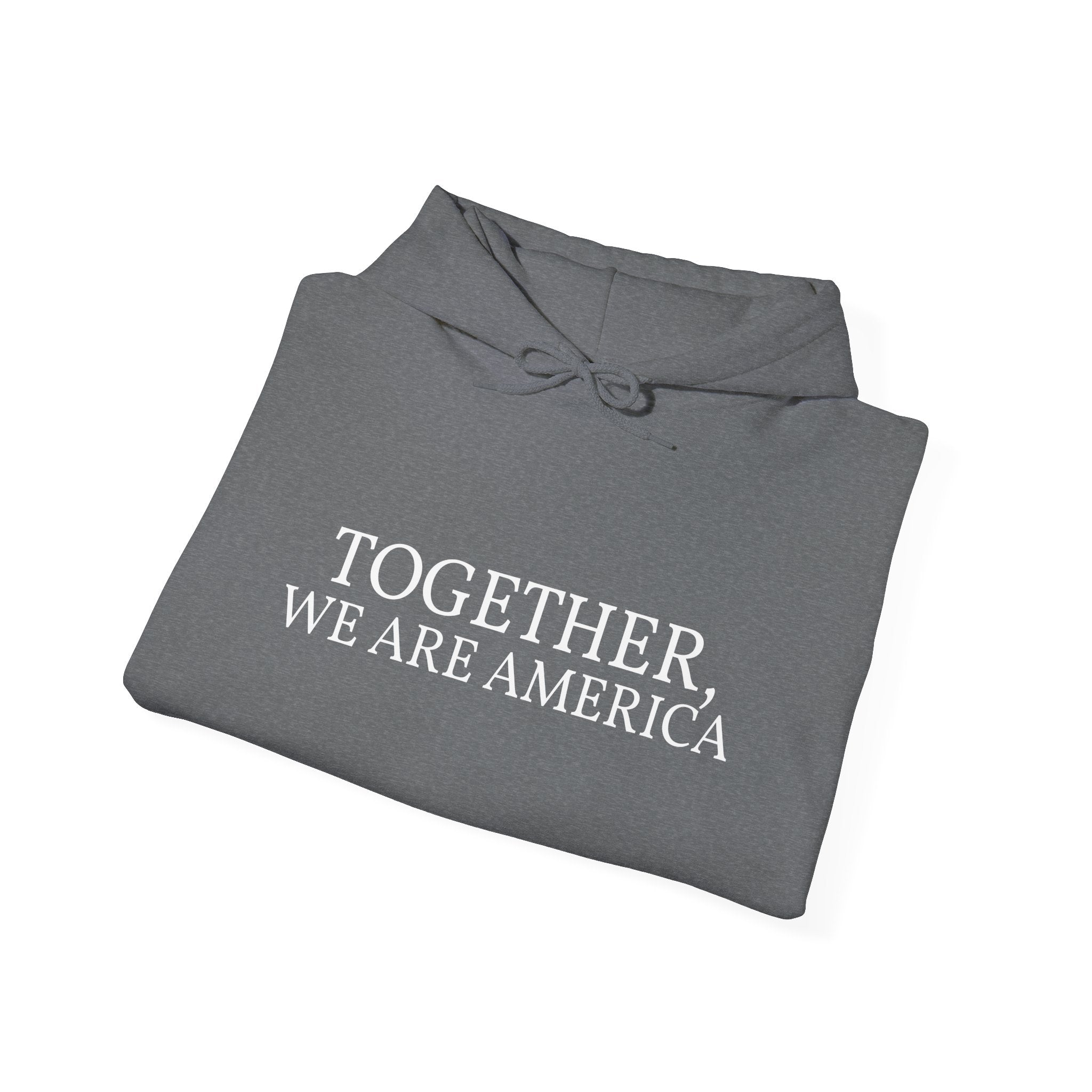 Together, We Are America Unisex Hoodie
