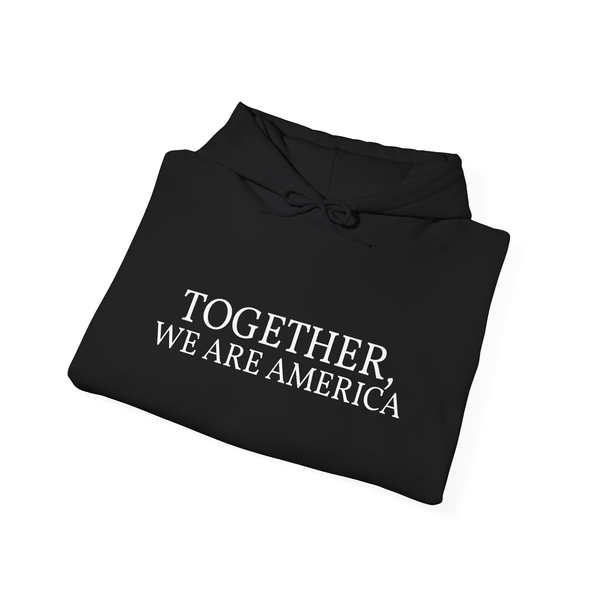 Together, We Are America Unisex Hoodie